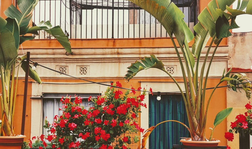 24 hour Escape from Reality to Barcelona